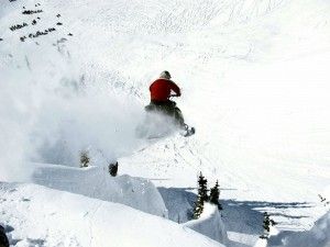 Snowmobile bearings