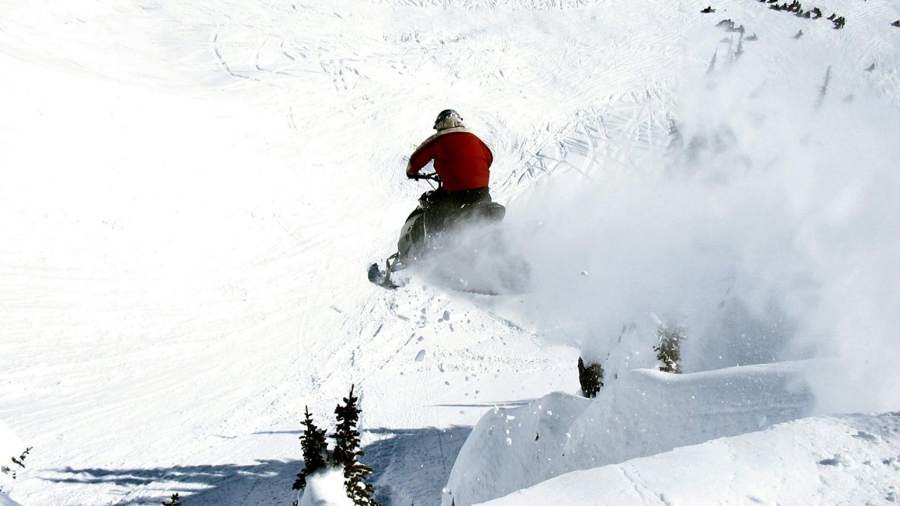 Bearings for Snowmobiles